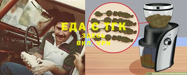 мет Алексин