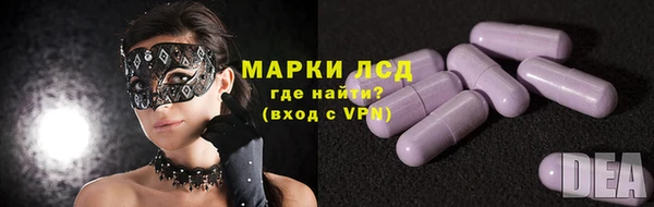 PSILOCYBIN Елизово